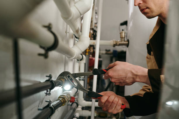 Best Toilet Repair Services  in Roanoke, IL