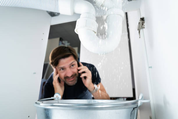 Best Pipe Repair Near Me  in Roanoke, IL