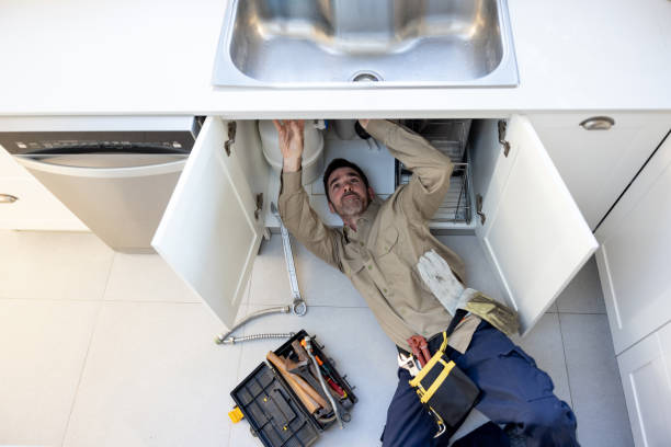 Best Local Plumber Services  in Roanoke, IL
