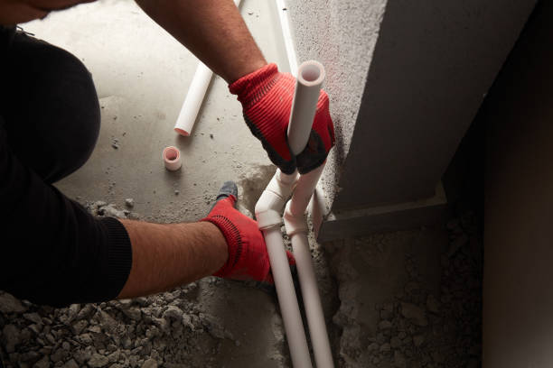 Best 24-Hour Plumber Near Me  in Roanoke, IL