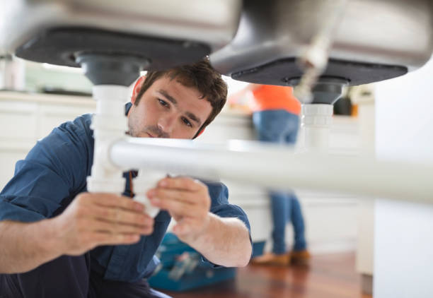 Best Plumbing Inspection Services  in Roanoke, IL