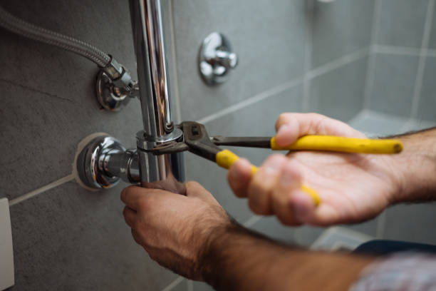 Best Pipe Repair Near Me  in Roanoke, IL