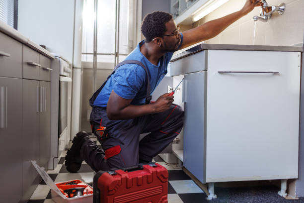 Best Best Plumbers Near Me  in Roanoke, IL