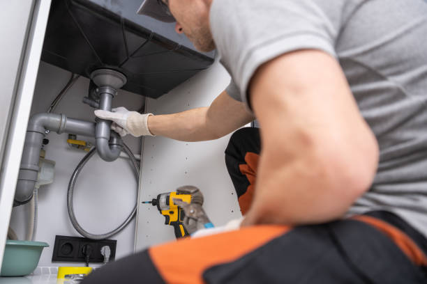 Best Residential Plumbing Services  in Roanoke, IL