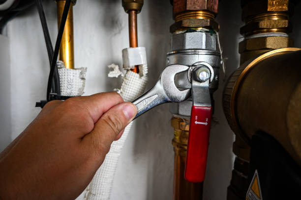 Best Water Heater Repair  in Roanoke, IL